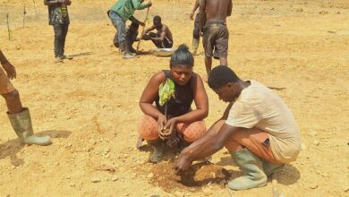 Some of the reclamation activities of Edelmetallum at Amansie South District by its workers.