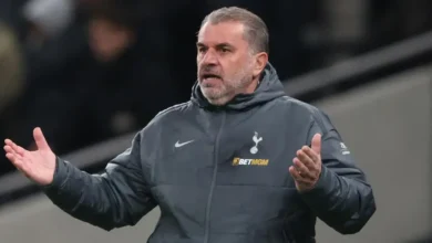 Tottenham appointed Ange Postecoglou in June 2023